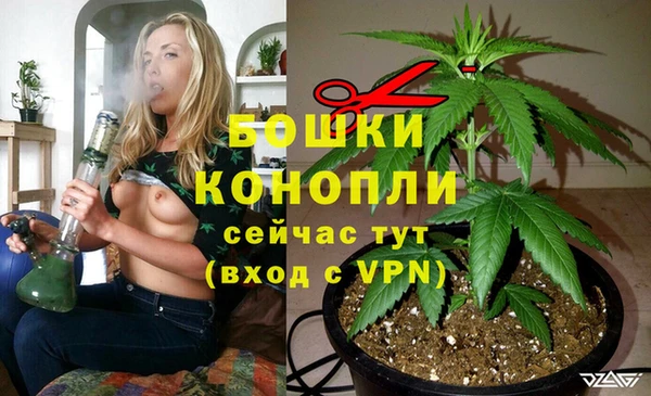 ALPHA PVP Тобольск